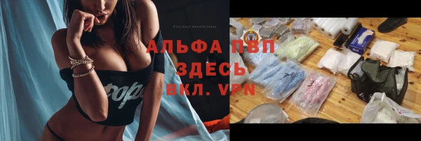 a pvp Корсаков
